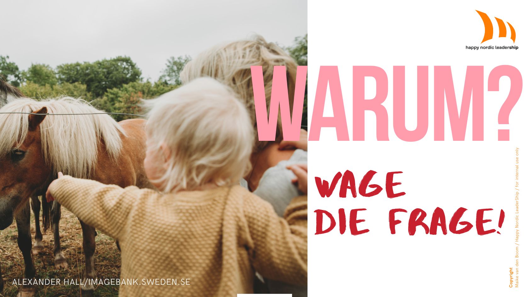 Der Kern von Happy Nordic leaderShip: WARUM?