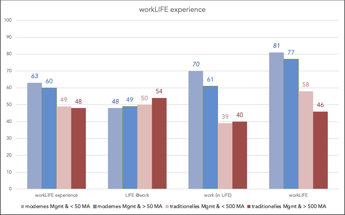 workLIFE experience und seinen 3 Dimensionen