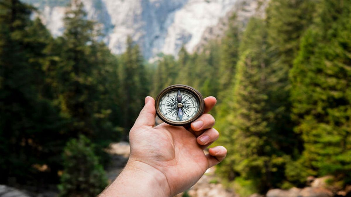 Werte geben dem Team Orientierung - Jamie Street/Unsplash