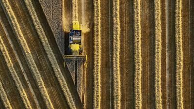 Die italienischen Pasta- und Kekshersteller sind abhängig von russischen Weizenexporten.