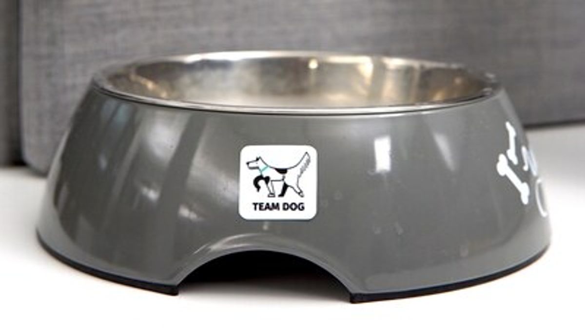 Gefundes Fressen für die Unternehmenskultur: Bei XING gibt es sogar extra Sticker für Bürohund-Besitzer·innen. - © XING News